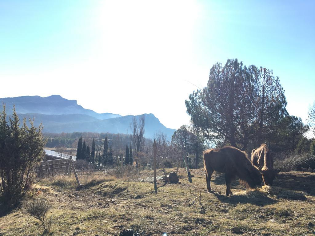 El Jou Nature Sant Corneli Exteriör bild
